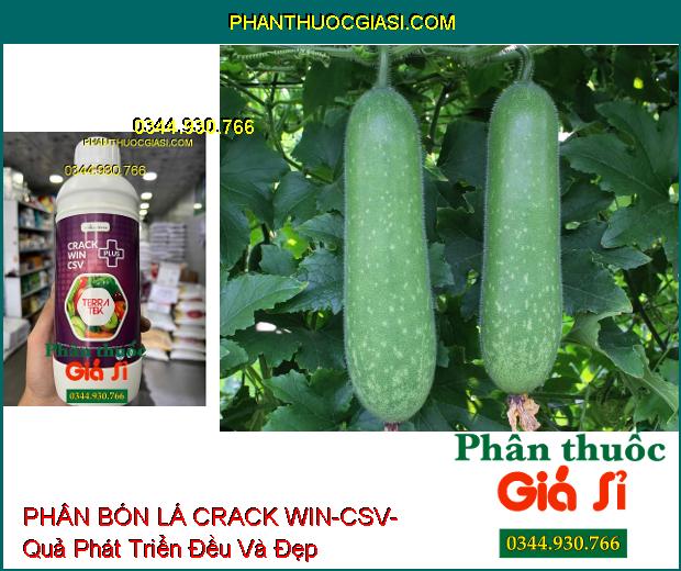 PHÂN BÓN LÁ CRACK WIN-CSV- Quả Phát Triển Đều- Màu Đẹp- Tăng Sức Đề Kháng