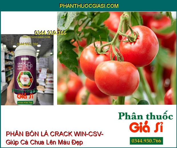 PHÂN BÓN LÁ CRACK WIN-CSV- Quả Phát Triển Đều- Màu Đẹp- Tăng Sức Đề Kháng