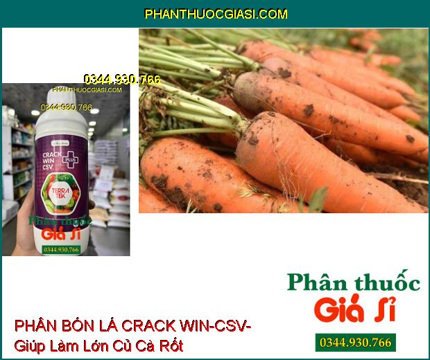 PHÂN BÓN LÁ CRACK WIN-CSV- Quả Phát Triển Đều- Màu Đẹp- Tăng Sức Đề Kháng