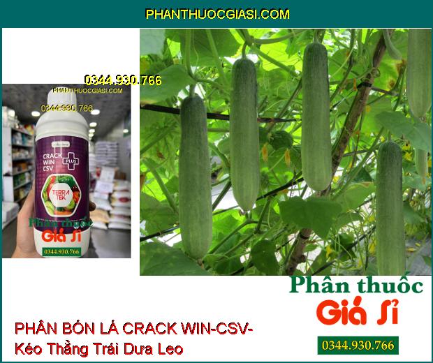 PHÂN BÓN LÁ CRACK WIN-CSV- Quả Phát Triển Đều- Màu Đẹp- Tăng Sức Đề Kháng