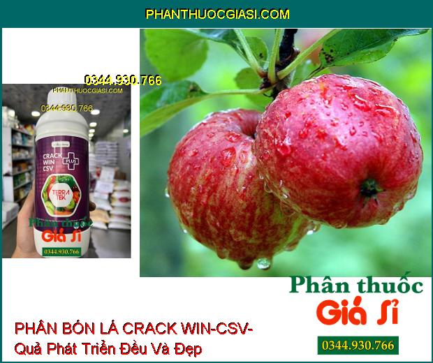 PHÂN BÓN LÁ CRACK WIN-CSV- Quả Phát Triển Đều- Màu Đẹp- Tăng Sức Đề Kháng