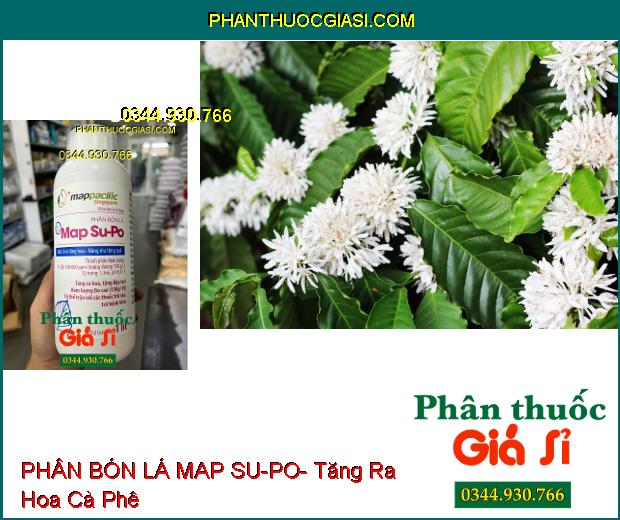 PHÂN BÓN LÁ MAP SU-PO- Tăng Ra Hoa- Tăng Đậu Trái- Tăng Năng Suất