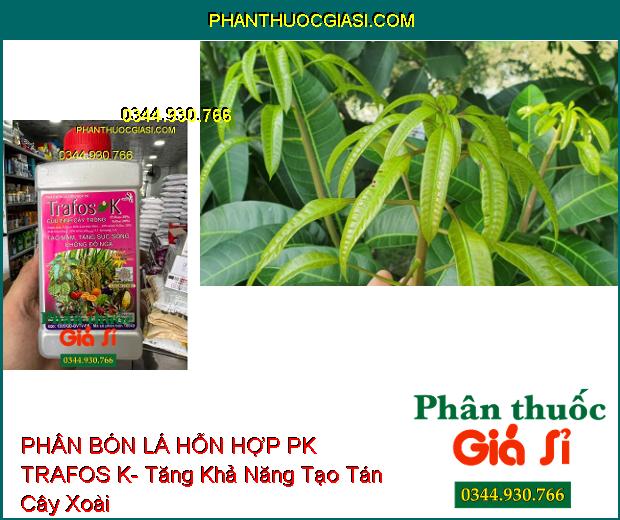 PHÂN BÓN LÁ HỖN HỢP PK TRAFOS K- Tạo Mầm- Tăng Sức Sống- Chống Đổ Ngã