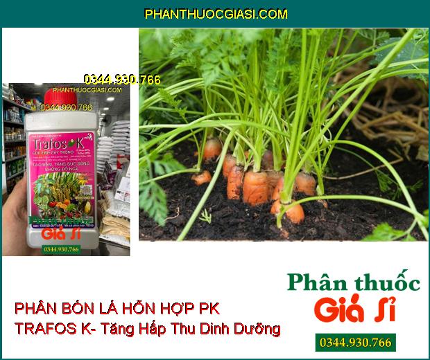 PHÂN BÓN LÁ HỖN HỢP PK TRAFOS K- Tạo Mầm- Tăng Sức Sống- Chống Đổ Ngã