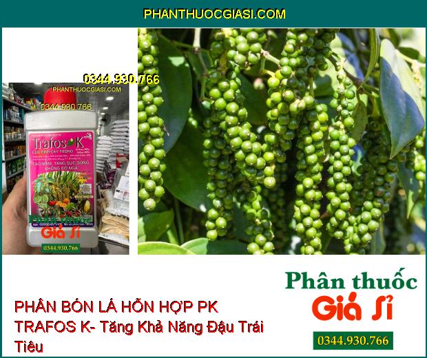 PHÂN BÓN LÁ HỖN HỢP PK TRAFOS K- Tạo Mầm- Tăng Sức Sống- Chống Đổ Ngã