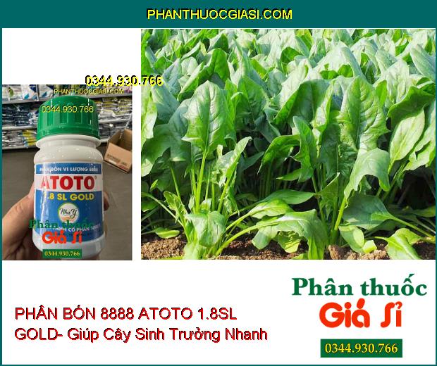 PHÂN BÓN VI LƯỢNG 8888 ATOTO 1.8SL GOLD- Cây Sinh Trưởng Nhanh- Vọt Đọt Mạnh- Xanh Lá