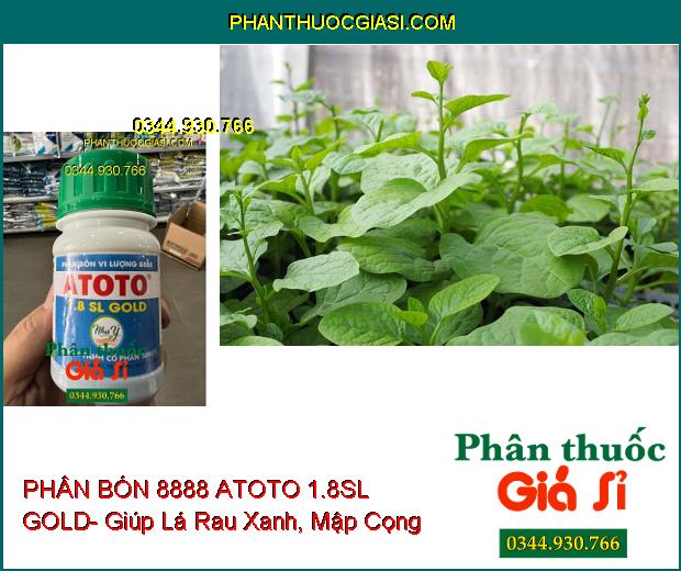 PHÂN BÓN VI LƯỢNG 8888 ATOTO 1.8SL GOLD- Cây Sinh Trưởng Nhanh- Vọt Đọt Mạnh- Xanh Lá