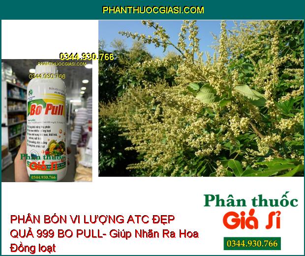 PHÂN BÓN VI LƯỢNG ATC ĐẸP QUẢ 999 BO PULL