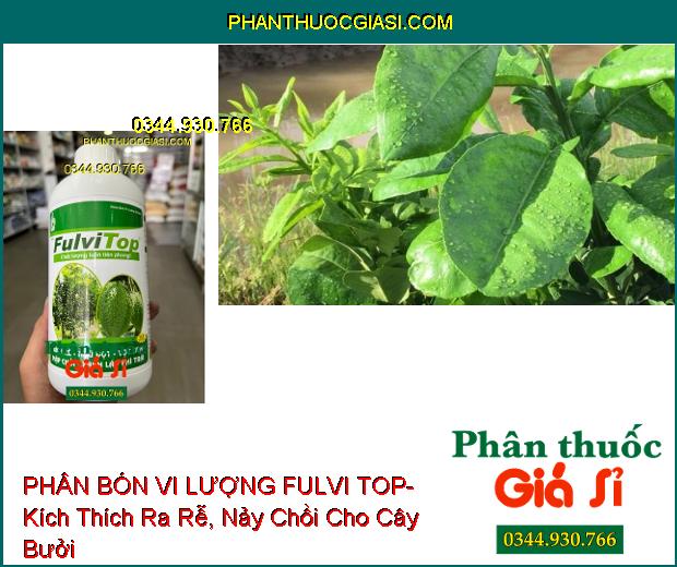 PHÂN BÓN VI LƯỢNG FULVI TOP- Kích Thích Ra Rễ- Đâm Chồi- Phì Trái- Tẩy Bóng Trái