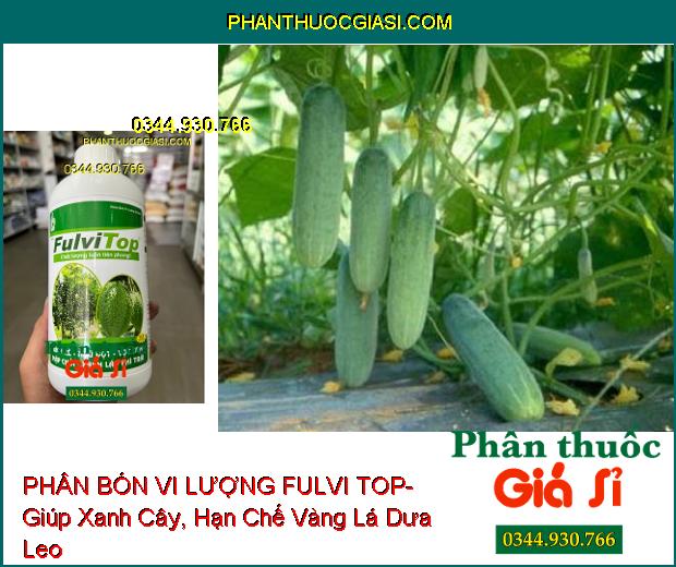 PHÂN BÓN VI LƯỢNG FULVI TOP- Kích Thích Ra Rễ- Đâm Chồi- Phì Trái- Tẩy Bóng Trái