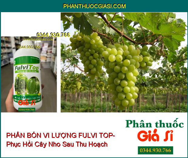 PHÂN BÓN VI LƯỢNG FULVI TOP- Kích Thích Ra Rễ- Đâm Chồi- Phì Trái- Tẩy Bóng Trái