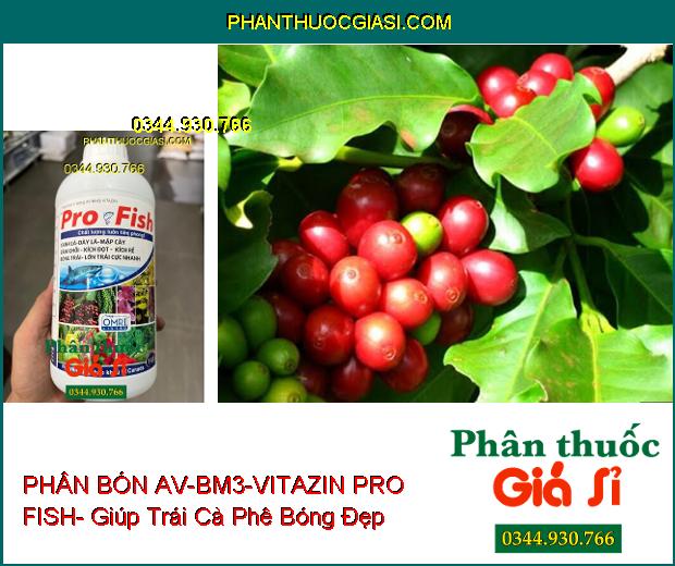 PHÂN BÓN AV-BM3-VITAZIN PRO FISH- Xanh Dày Lá- Mập Cây- Lớn Trái