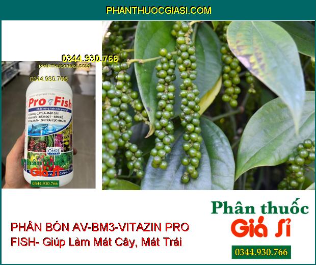 PHÂN BÓN AV-BM3-VITAZIN PRO FISH- Xanh Dày Lá- Mập Cây- Lớn Trái