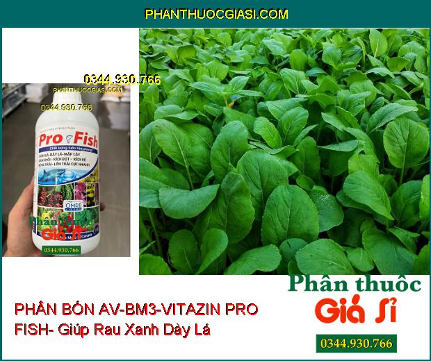 PHÂN BÓN AV-BM3-VITAZIN PRO FISH- Xanh Dày Lá- Mập Cây- Lớn Trái