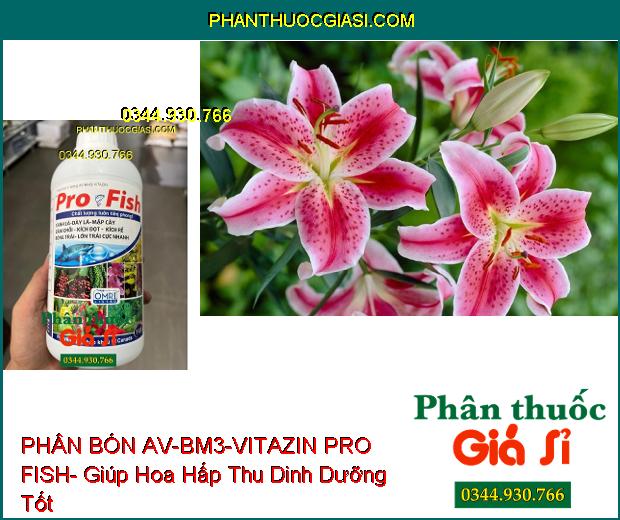 PHÂN BÓN AV-BM3-VITAZIN PRO FISH- Xanh Dày Lá- Mập Cây- Lớn Trái