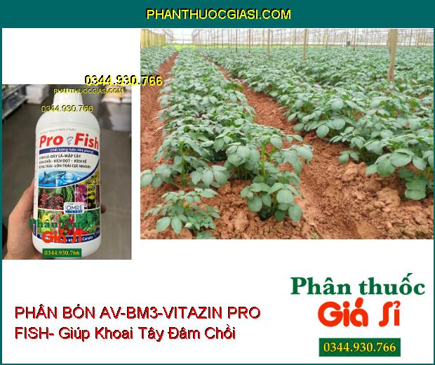 PHÂN BÓN AV-BM3-VITAZIN PRO FISH- Xanh Dày Lá- Mập Cây- Lớn Trái