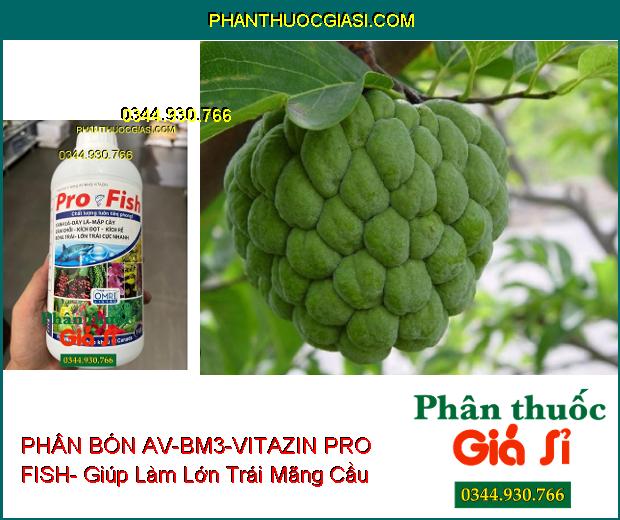 PHÂN BÓN AV-BM3-VITAZIN PRO FISH- Xanh Dày Lá- Mập Cây- Lớn Trái