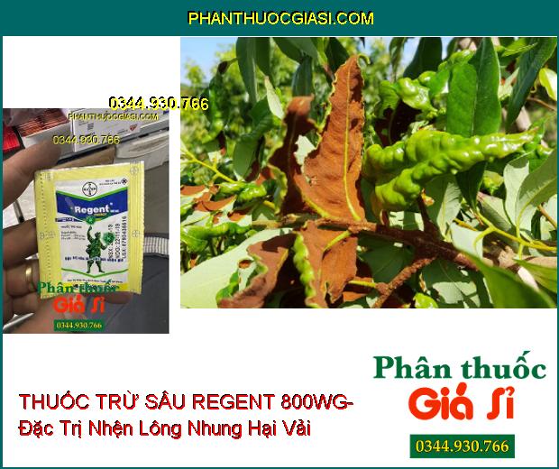 THUỐC TRỪ SÂU REGENT 800WG- Đặc Trị Sâu Lá- Cắt Đời Nhện Gié