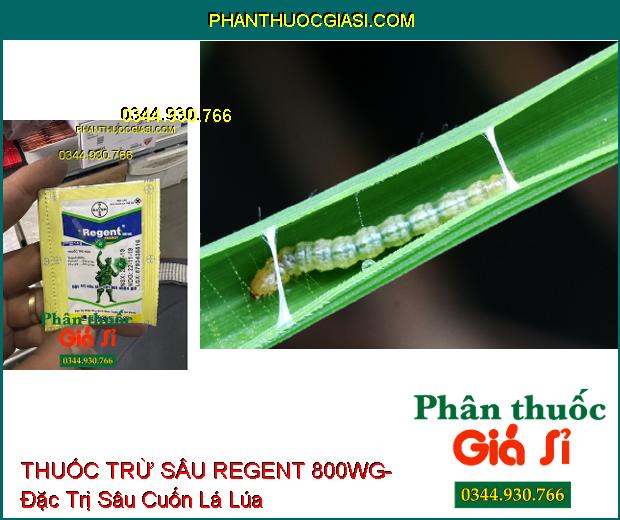 THUỐC TRỪ SÂU REGENT 800WG- Đặc Trị Sâu Lá- Cắt Đời Nhện Gié