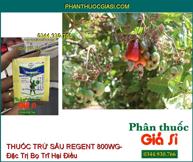 THUỐC TRỪ SÂU REGENT 800WG- Đặc Trị Sâu Lá- Cắt Đời Nhện Gié