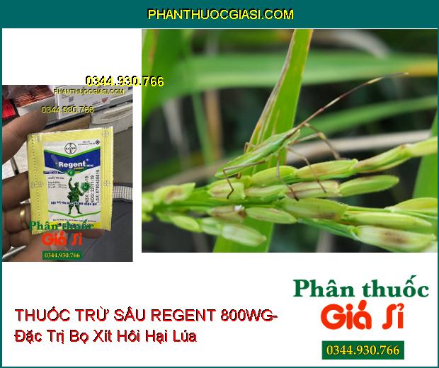 THUỐC TRỪ SÂU REGENT 800WG- Đặc Trị Sâu Lá- Cắt Đời Nhện Gié