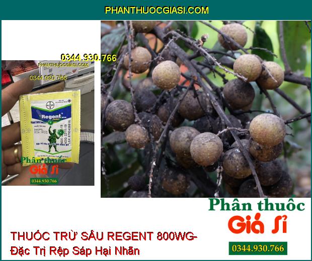 THUỐC TRỪ SÂU REGENT 800WG- Đặc Trị Sâu Lá- Cắt Đời Nhện Gié