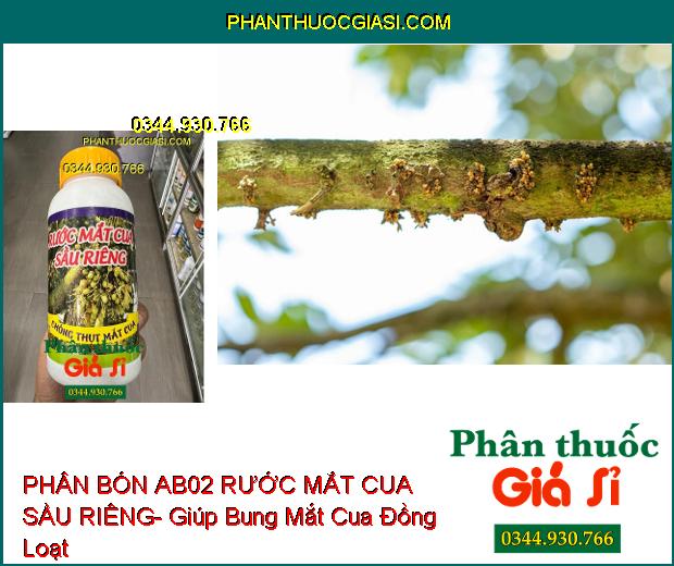 PHÂN BÓN AB02 RƯỚC MẮT CUA SẦU RIÊNG