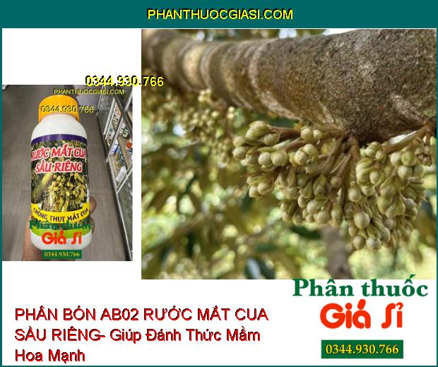 PHÂN BÓN AB02 RƯỚC MẮT CUA SẦU RIÊNG