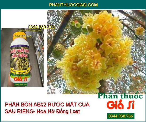 PHÂN BÓN AB02 RƯỚC MẮT CUA SẦU RIÊNG