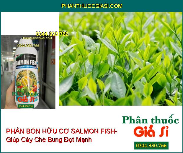 PHÂN BÓN HỮU CƠ SALMON FISH- Cây Bung Đọt- Mập Thân- Ra Nhiều Hoa- Đậu Nhiều Trái