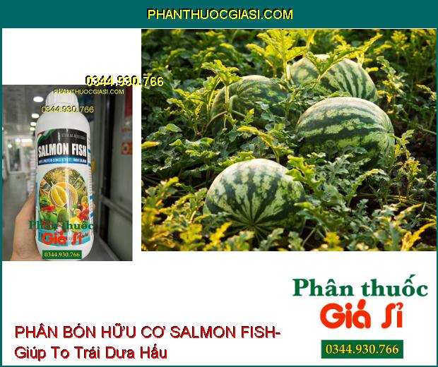 PHÂN BÓN HỮU CƠ SALMON FISH- Cây Bung Đọt- Mập Thân- Ra Nhiều Hoa- Đậu Nhiều Trái