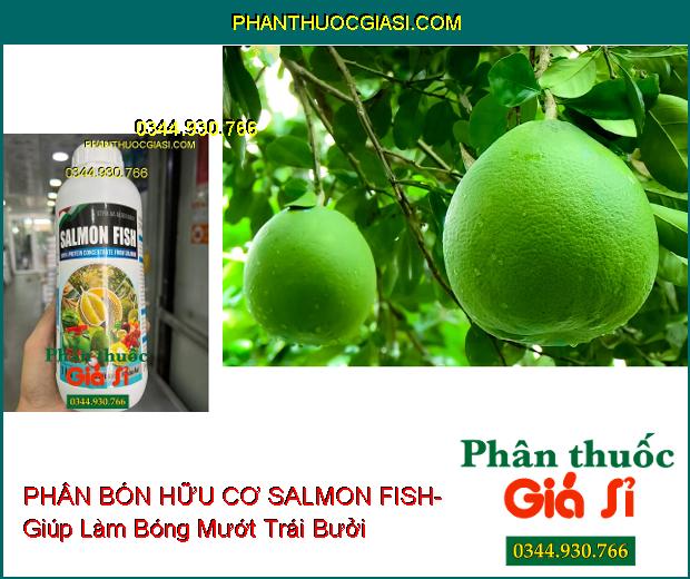 PHÂN BÓN HỮU CƠ SALMON FISH- Cây Bung Đọt- Mập Thân- Ra Nhiều Hoa- Đậu Nhiều Trái