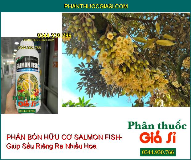 PHÂN BÓN HỮU CƠ SALMON FISH- Cây Bung Đọt- Mập Thân- Ra Nhiều Hoa- Đậu Nhiều Trái