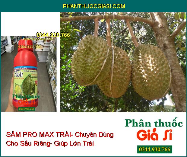 SÂM PRO MAX TRÁI- Chuyên Dùng Cho Sầu Riêng- Nở Gai- Xanh Trái- Dai Cuống