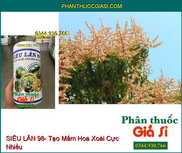 SIÊU LÂN 98- Tạo Mầm Hoa Cực Nhanh- Xử Lý Ra Hoa Nghịch Vụ- Chống Nghẹn Hoa