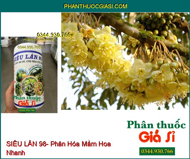 SIÊU LÂN 98- Tạo Mầm Hoa Cực Nhanh- Xử Lý Ra Hoa Nghịch Vụ- Chống Nghẹn Hoa