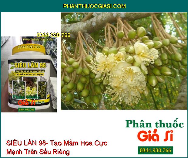 SIÊU LÂN 98- Chuyên Xử Lý Ra Hoa Trái Vụ- Tạo Mầm Hoa Cực Mạnh