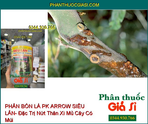 PHÂN BÓN LÁ PK ARROW SIÊU LÂN- Đặc Trị Nứt Thân Xì Mủ- Thối Trái- Thối Rễ