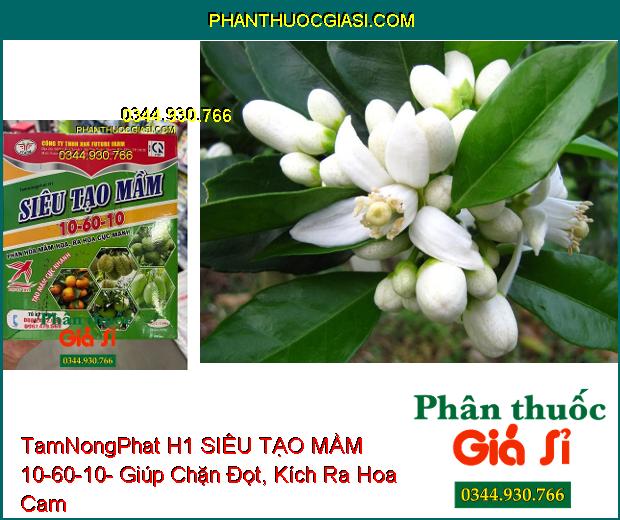 TamNongPhat H1 SIÊU TẠO MẦM 10-60-10- Phân Hóa Mầm Hoa- Ra Hoa Cực Mạnh