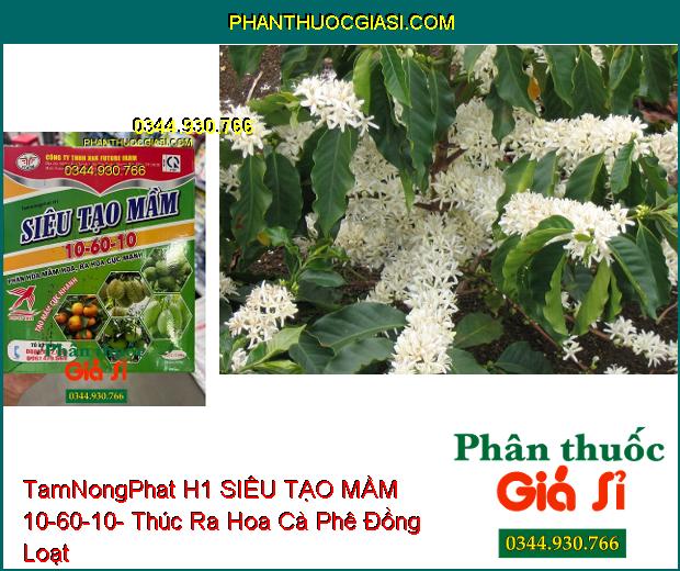 TamNongPhat H1 SIÊU TẠO MẦM 10-60-10- Phân Hóa Mầm Hoa- Ra Hoa Cực Mạnh