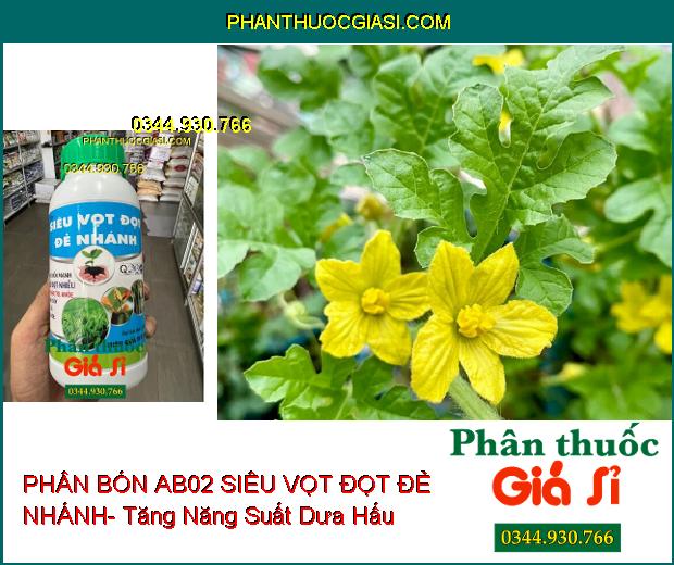 PHÂN BÓN AB02 SIÊU VỌT ĐỌT ĐẺ NHÁNH- Đâm Chồi Mạnh- Chống Nghẹn Đọt- Xanh Lá