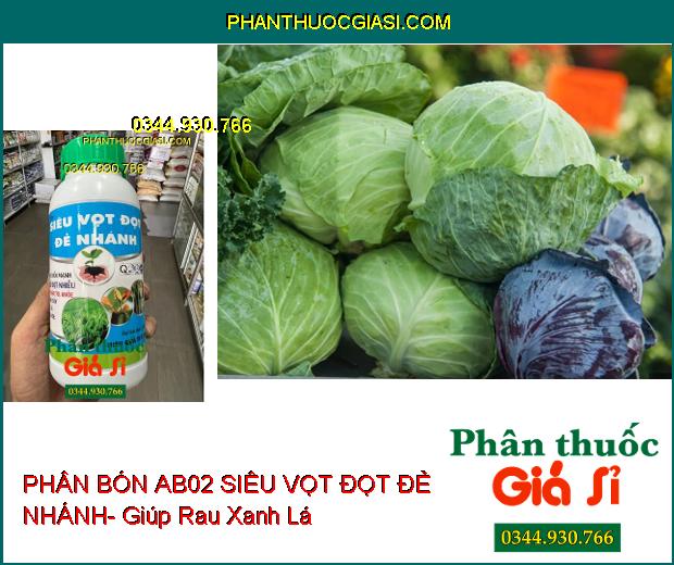 PHÂN BÓN AB02 SIÊU VỌT ĐỌT ĐẺ NHÁNH- Đâm Chồi Mạnh- Chống Nghẹn Đọt- Xanh Lá