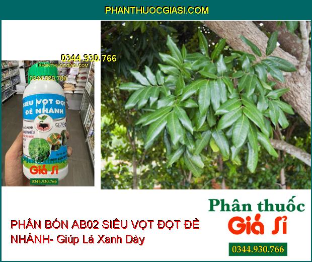 PHÂN BÓN AB02 SIÊU VỌT ĐỌT ĐẺ NHÁNH- Đâm Chồi Mạnh- Chống Nghẹn Đọt- Xanh Lá