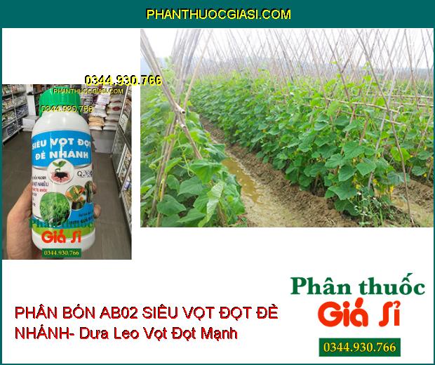 PHÂN BÓN AB02 SIÊU VỌT ĐỌT ĐẺ NHÁNH- Đâm Chồi Mạnh- Chống Nghẹn Đọt- Xanh Lá