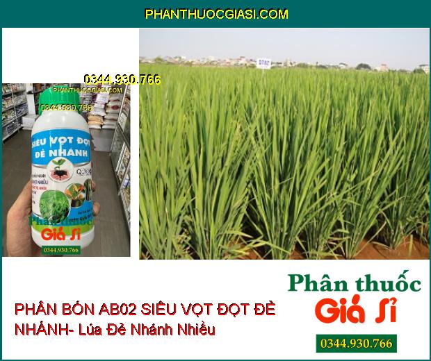 PHÂN BÓN AB02 SIÊU VỌT ĐỌT ĐẺ NHÁNH- Đâm Chồi Mạnh- Chống Nghẹn Đọt- Xanh Lá