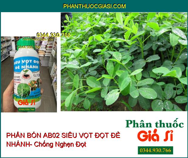 PHÂN BÓN AB02 SIÊU VỌT ĐỌT ĐẺ NHÁNH- Đâm Chồi Mạnh- Chống Nghẹn Đọt- Xanh Lá