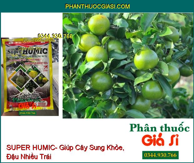 SUPER HUMIC- Cải Tạo Đất- Ra Rễ Nhiều- Dưỡng Lá- Thúc Trái Lớn Nhanh