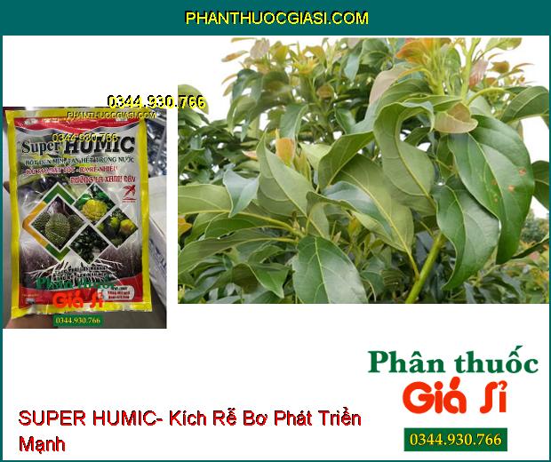 SUPER HUMIC- Cải Tạo Đất- Ra Rễ Nhiều- Dưỡng Lá- Thúc Trái Lớn Nhanh