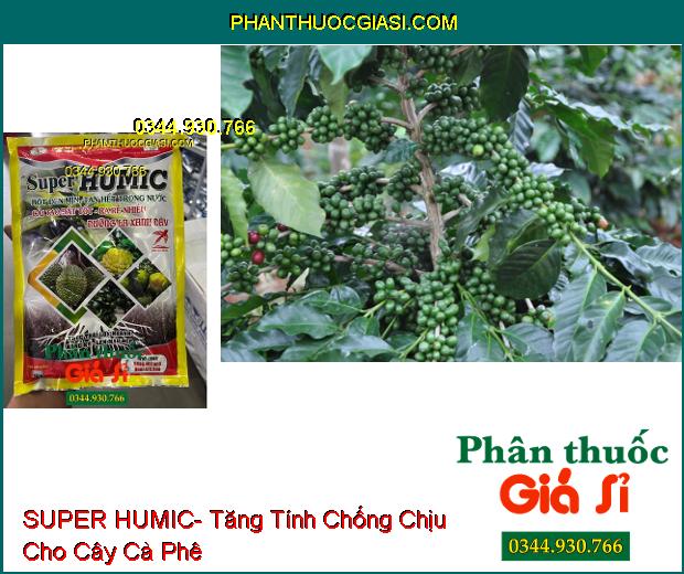 SUPER HUMIC- Cải Tạo Đất- Ra Rễ Nhiều- Dưỡng Lá- Thúc Trái Lớn Nhanh