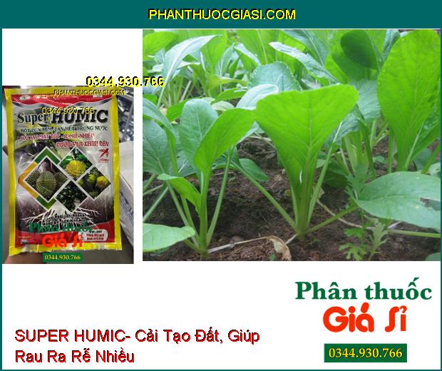 SUPER HUMIC- Cải Tạo Đất- Ra Rễ Nhiều- Dưỡng Lá- Thúc Trái Lớn Nhanh